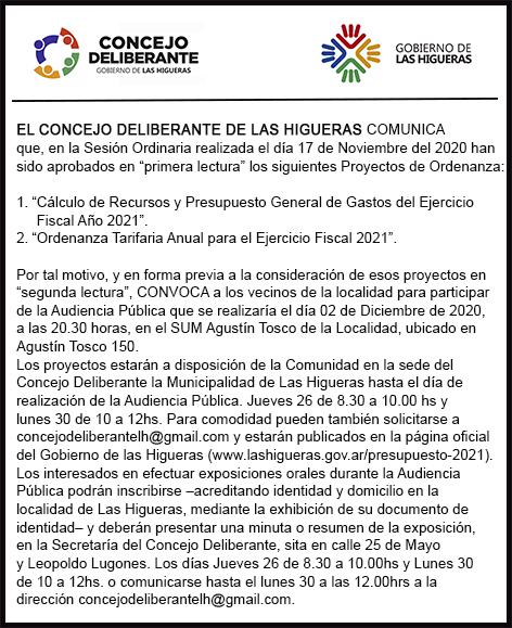 Audiencia Publica25-11-20W