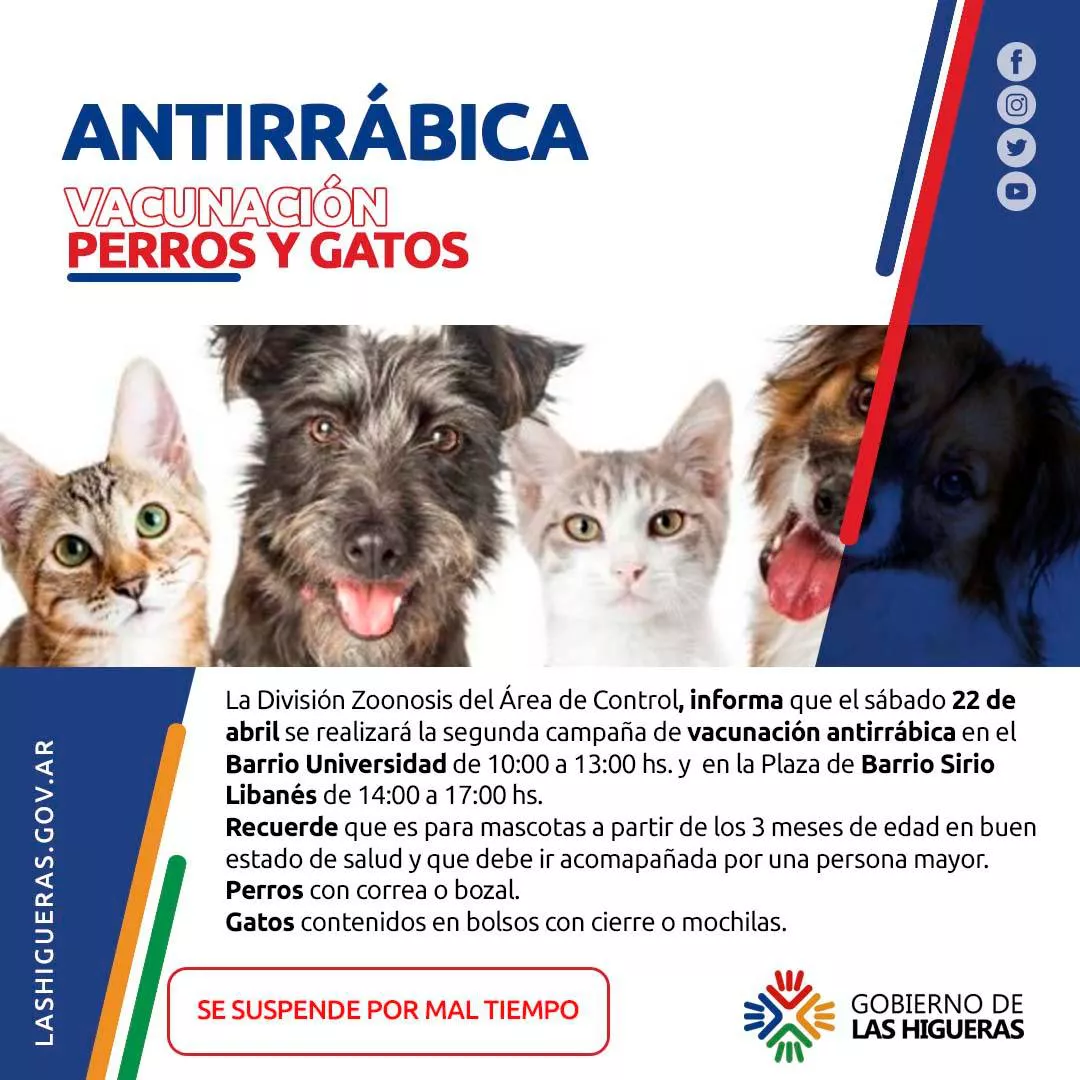 vacunacion antirrabica