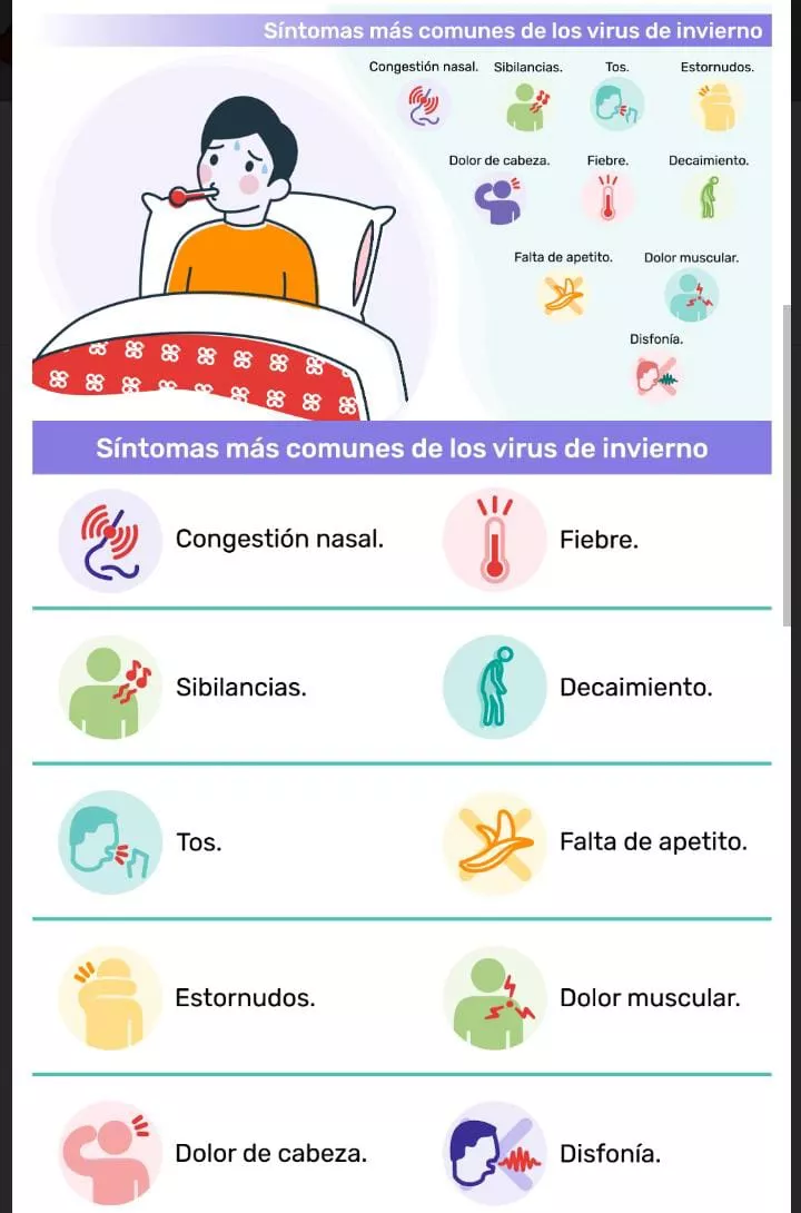 enfermedades respiratorias enfermedades respiratorias