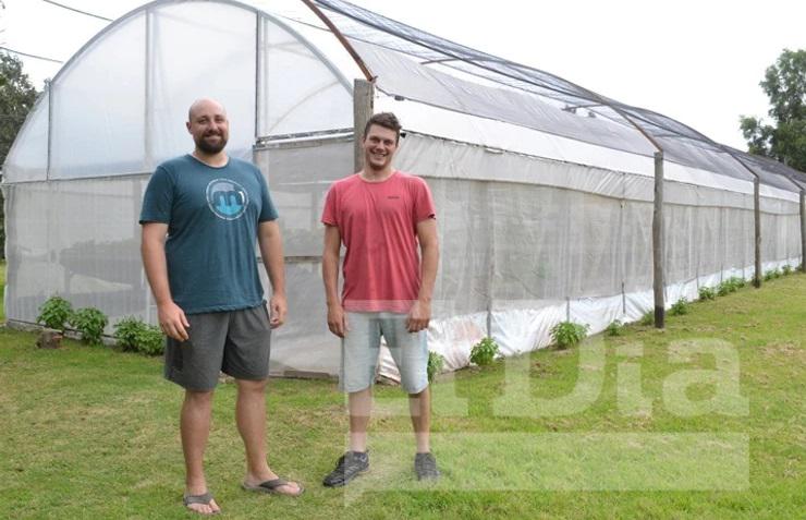 Raíz de Vanguardia.