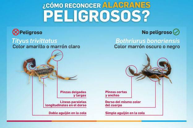 ALACRANES