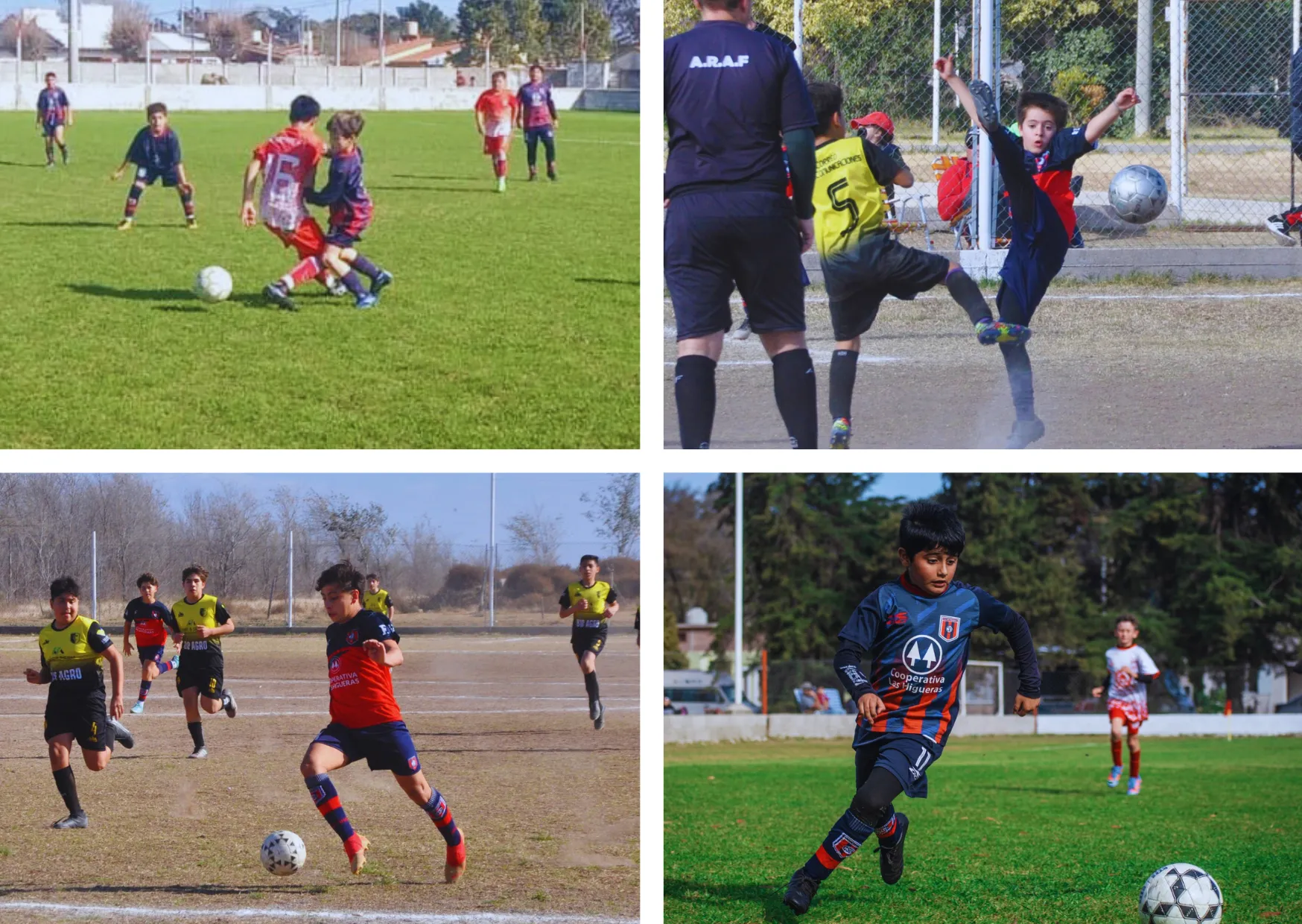 CLUB ATLETICO STOCKOLMO DE BABY FUTBOL: Fotogaleria de las categorias