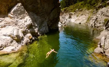 Durazno-321-x-231-foto