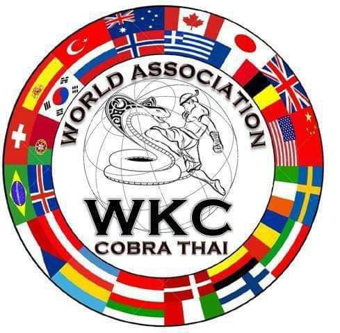 ESCUELA DOJO HALCÓN  (2)