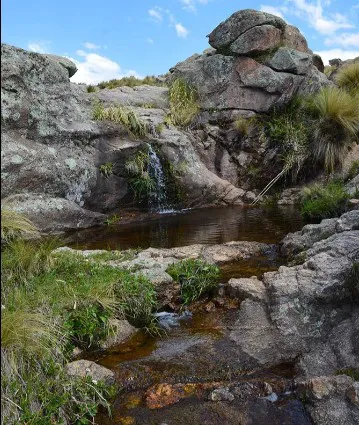 Captura de pantalla 2024-12-15 172438