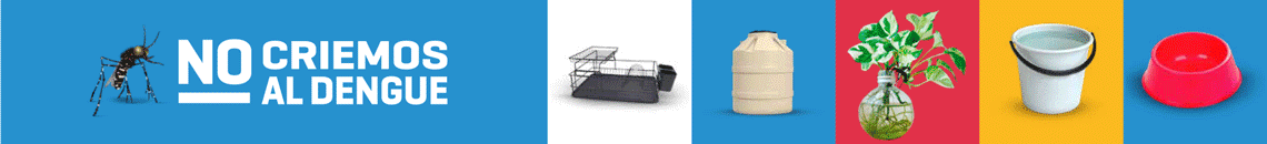 1140x130-DENGUE