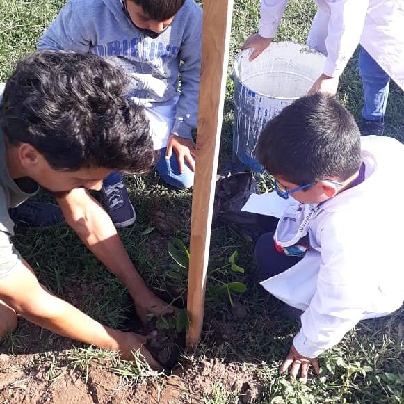 REPLANTEÁNDONOS LAS HIGUERAS (1)