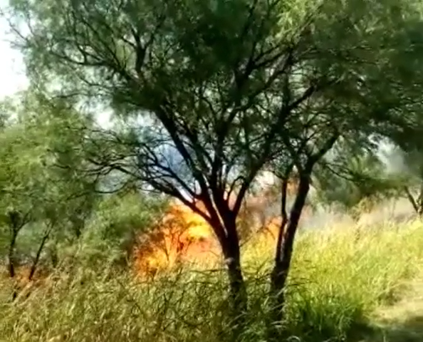 incendio sms