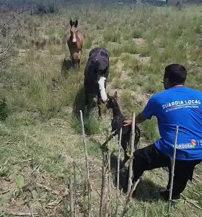 Captura de pantalla 2025-11-08 134255