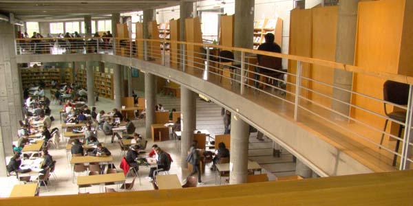 biblioteca11