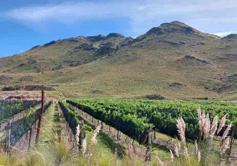 Captura de pantalla 2024-09-07 212650