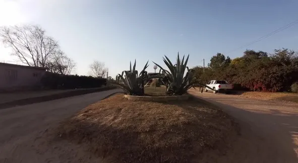 La Margarita