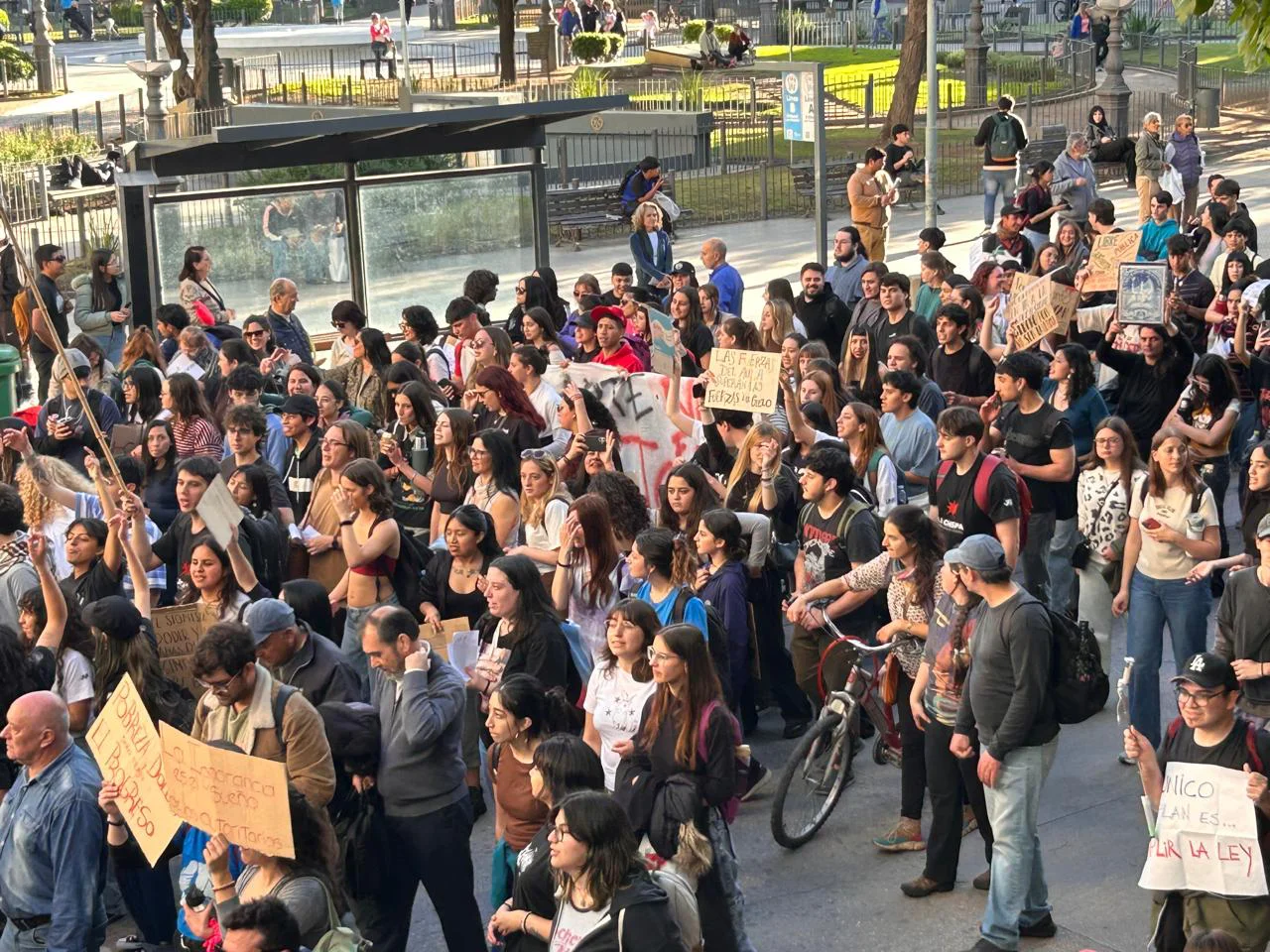 MARCHA (9)