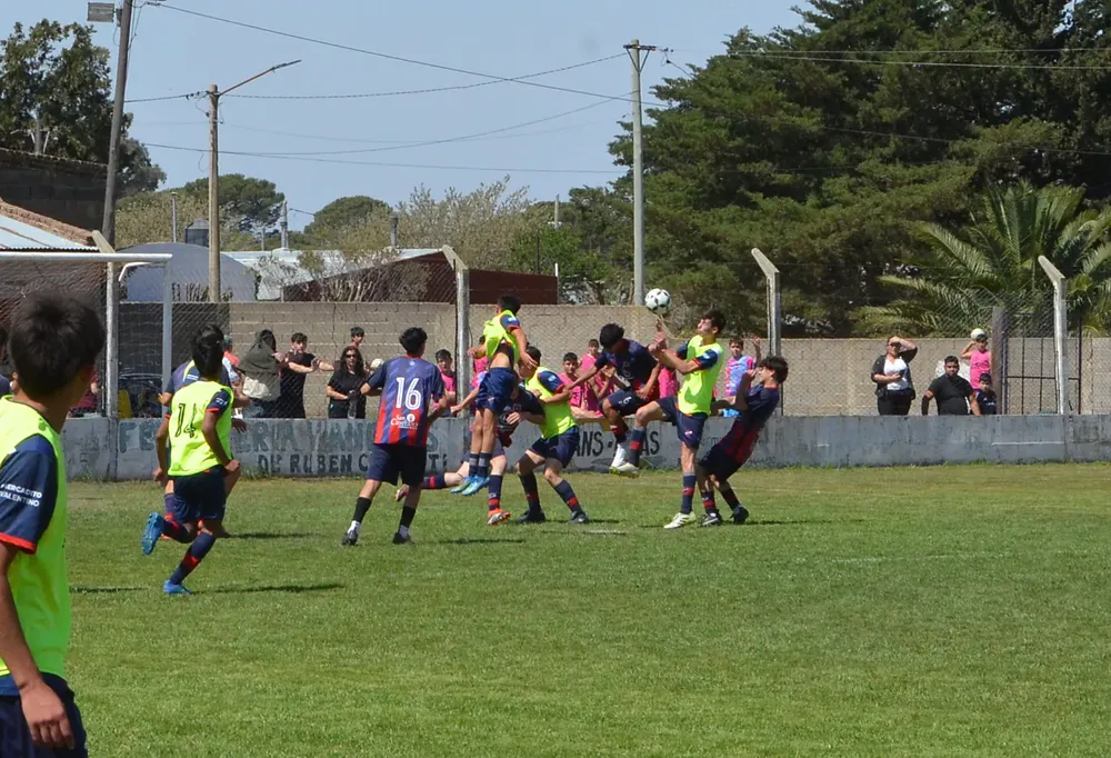 WhatsApp Image 2024-09-29 at 12.50.23