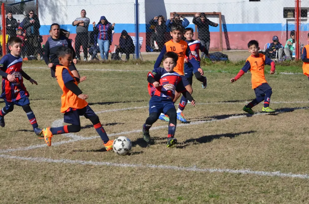 Centro Social San Lorenzo Bulnes Talleres Las Acequias Los Incas Achiras (91)