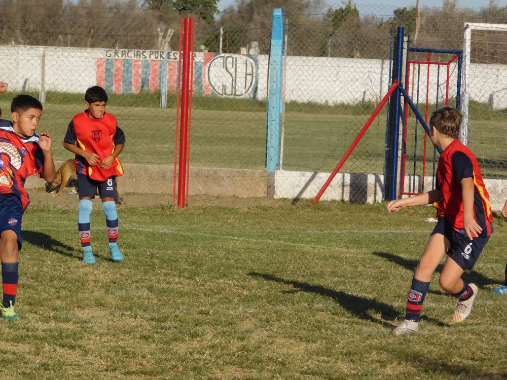 Infantiles Juveniles Centro Social San Lorenzo Bulnes Ateneo Vecinos Argentinso Jrs (97)