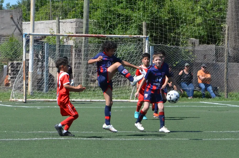 WhatsApp Image 2024-10-28 at 18.43.32 (6)