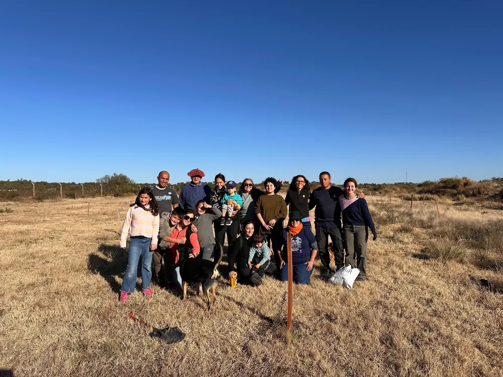 plantacion colectiva (5)