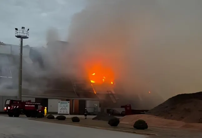 Diseño sin título (9)