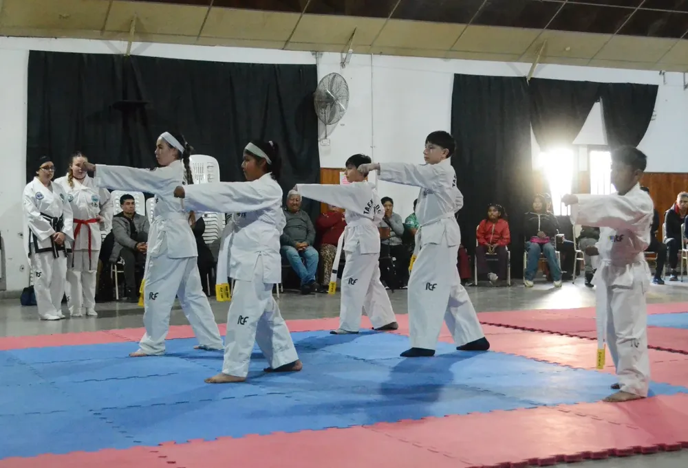 TAEKWONDO (2)