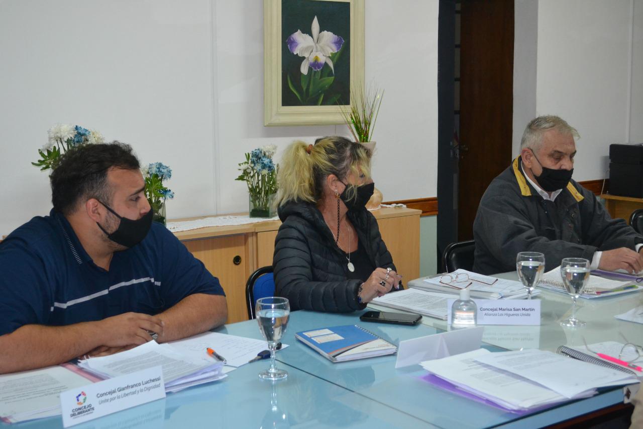 Concejo Deliberante Las Higueras (6)
