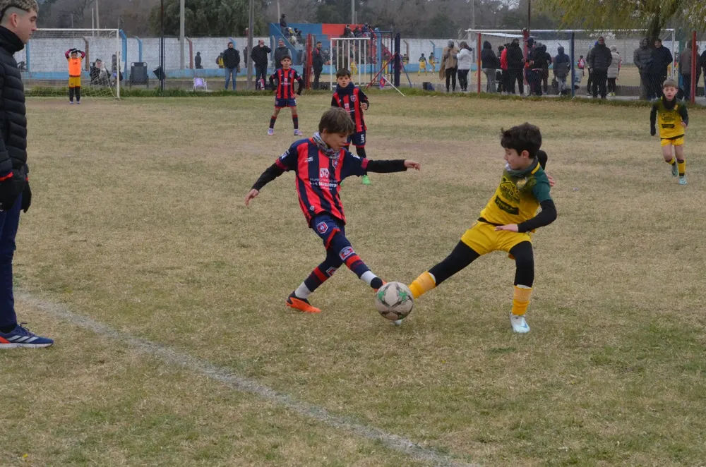 IMG-20250629-WA0089