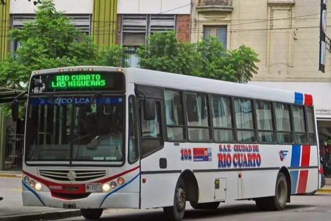 colectivo-directo (2)