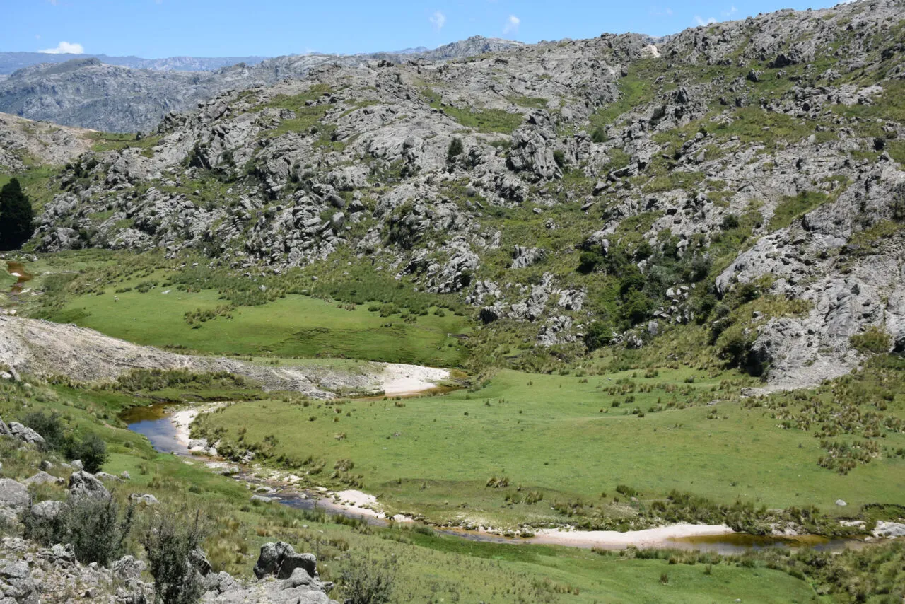 DSC_6558-scaled-e1643749492497