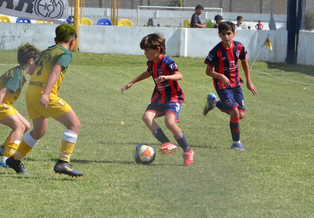 WhatsApp Image 2025-11-08 at 20.54.19