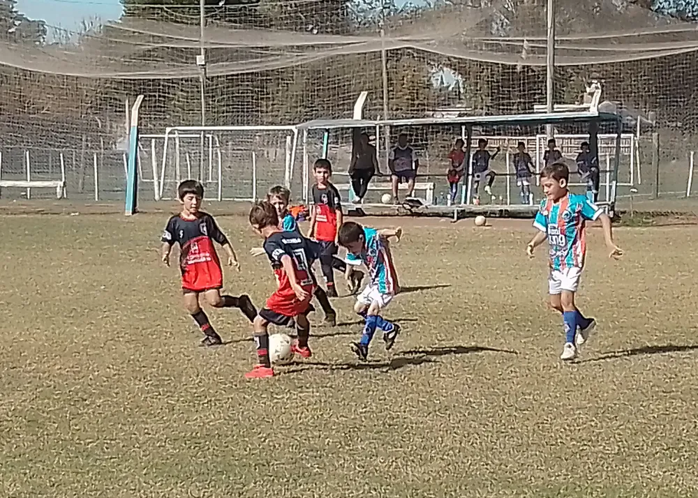 Infantiles Juveniles Centro Social San Lorenzo Bulnes Ateneo Vecinos Argentinso Jrs (150)