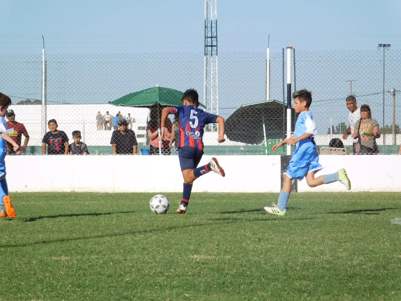 Semifinales Blaugranas Azulgranas  (131)