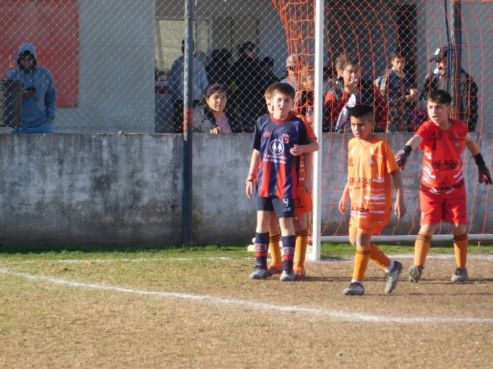 Centro Social Infanto Juvenil Renato Cesarini Olaeta Socialeritas (175)