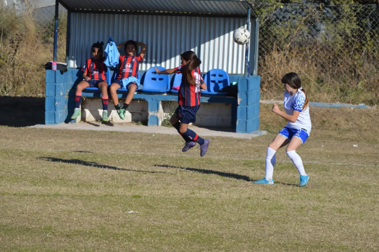 WhatsApp Image 2024-06-10 at 18.52.45