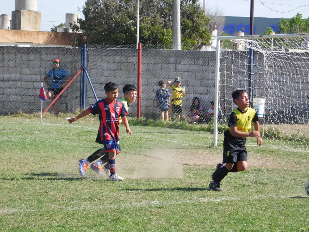 WhatsApp Image 2024-09-29 at 20.26.31 (9)