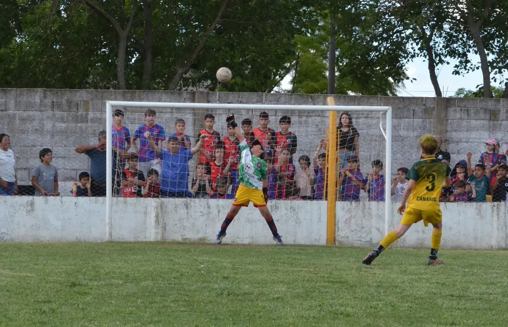 WhatsApp Image 2025-11-08 at 20.54.21 (4)