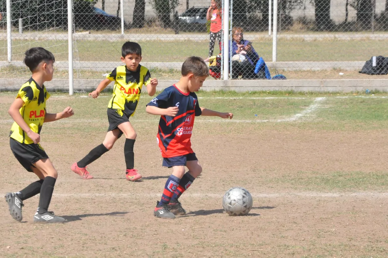 Centro Social Las Higueras Correos y Telecomunicaciones Deportivo Municipal Adela María (7)