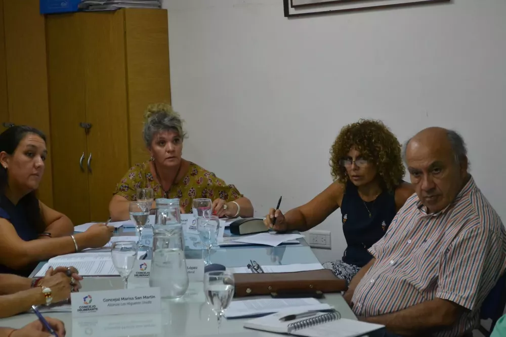 Concejo Deliberante Loteo 1 (1)