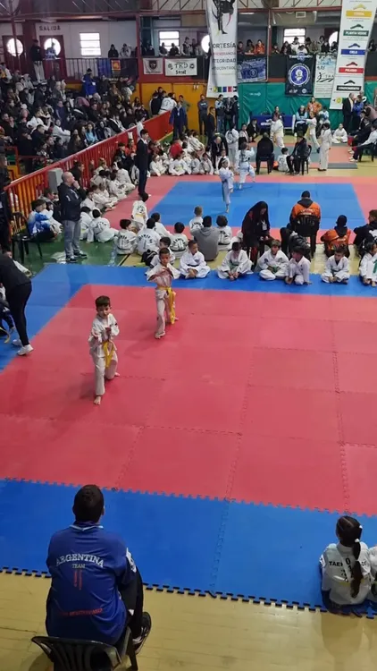 AYALA TAEKWONDO (2)