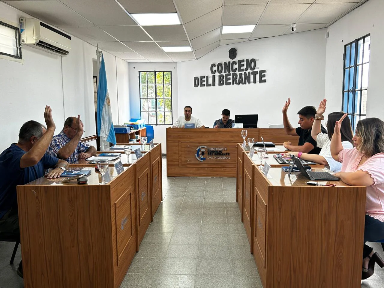 CONCEJO DELIBERANTE PREPARATORIA