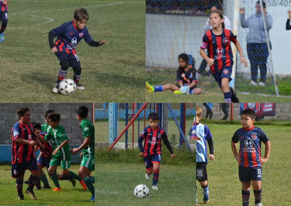 WhatsApp Image 2024-04-29 at 14.39.24