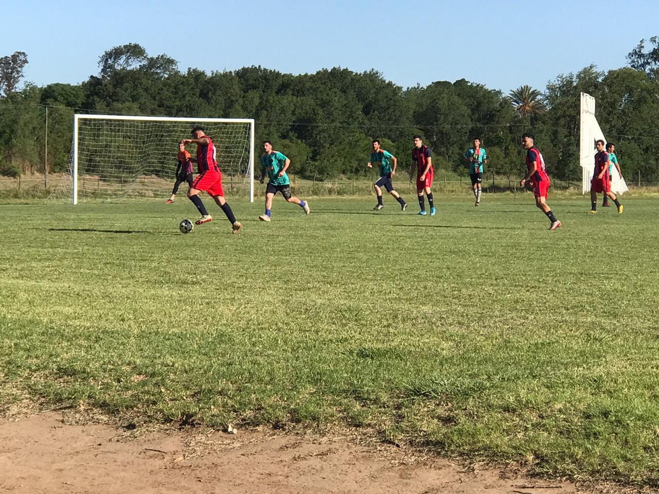 Seminario 28112020 6