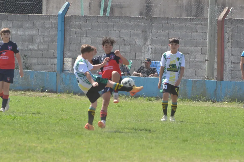 WhatsApp Image 2024-09-23 at 16.32.32 (2)