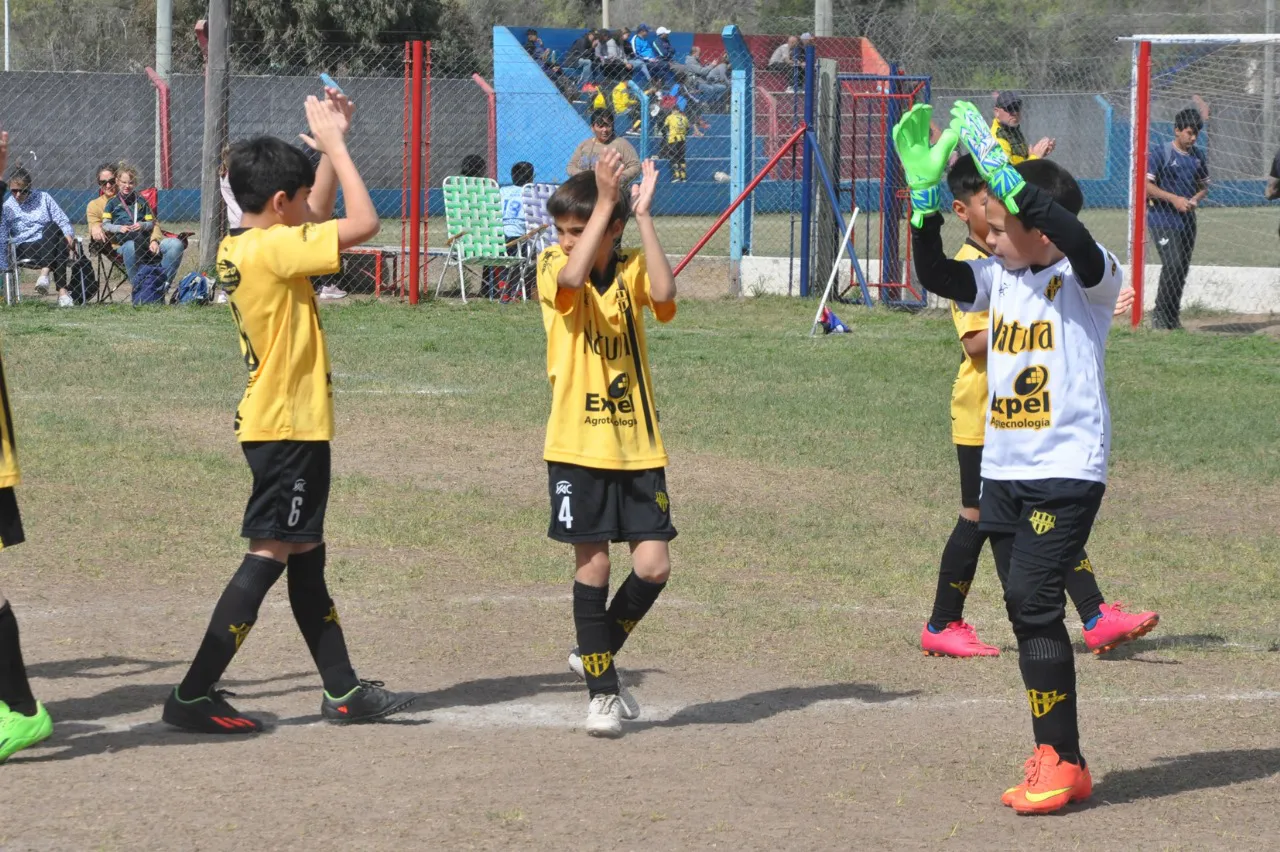 Centro Social Deportivo Municipal Acción Juvenil Socialeritas (23)