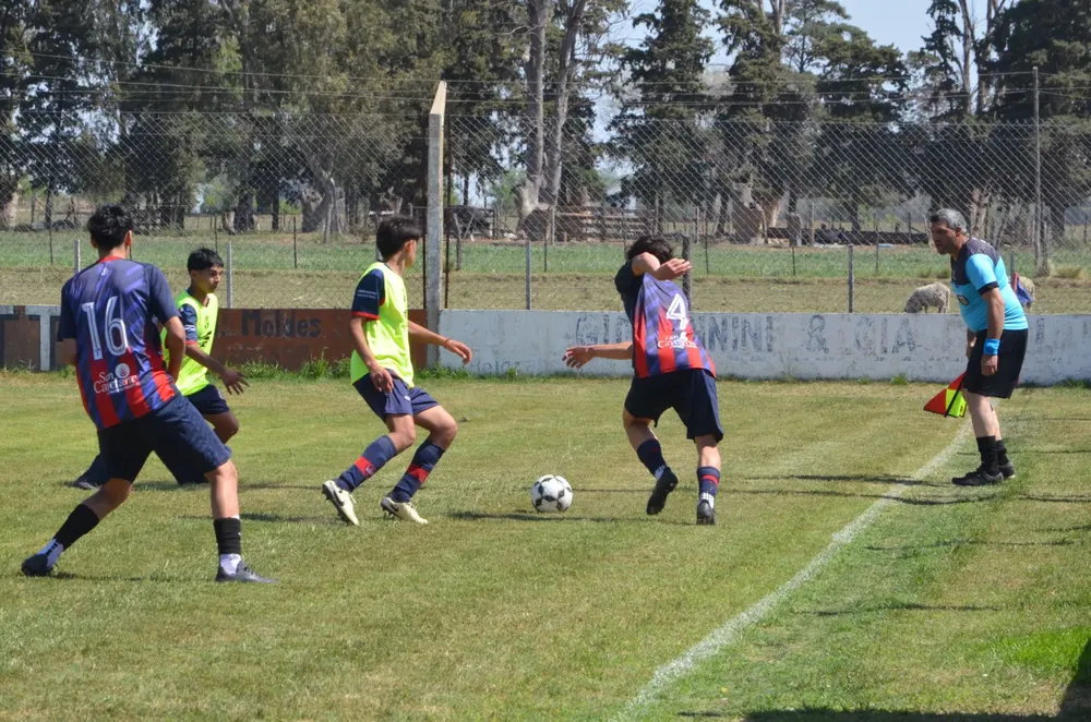 WhatsApp Image 2024-09-29 at 12.50.44