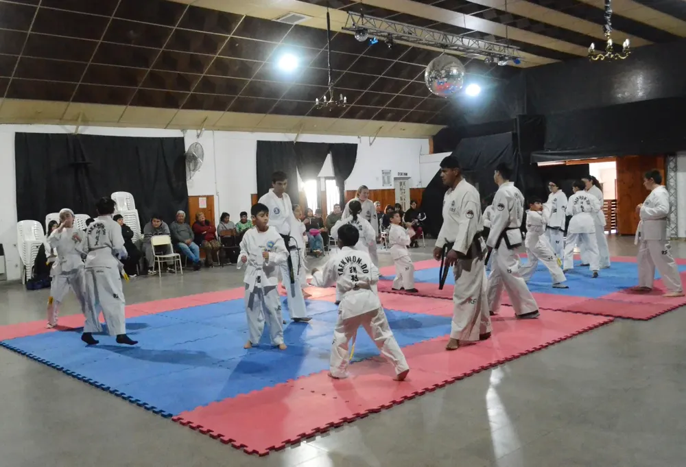 TAEKWONDO (1)