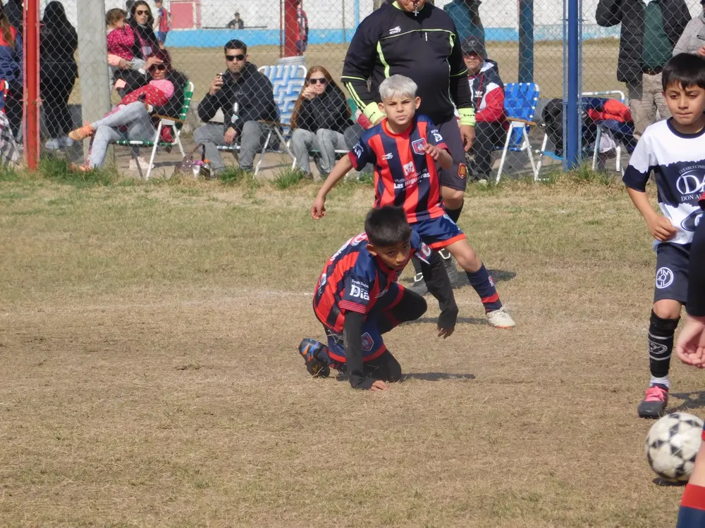 WhatsApp Image 2024-08-19 at 15.04.47 (19)