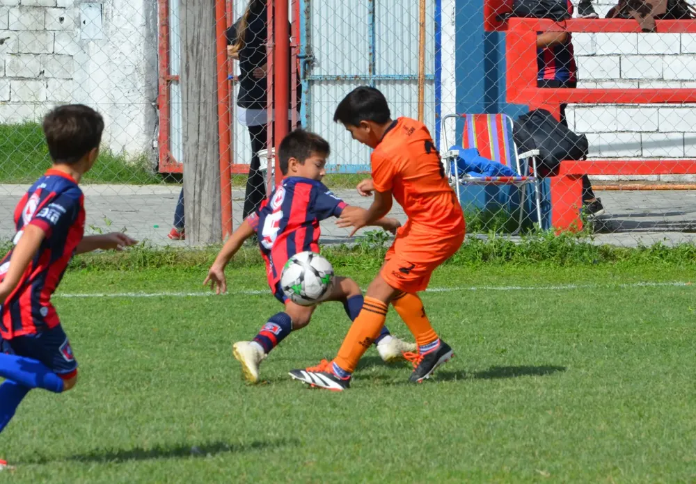 WhatsApp Image 2025-03-31 at 16.38.17 (4)