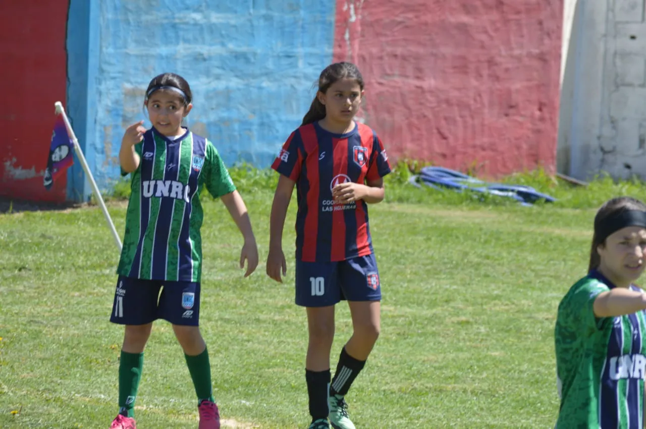 WhatsApp Image 2024-10-28 at 21.55.23 (1)