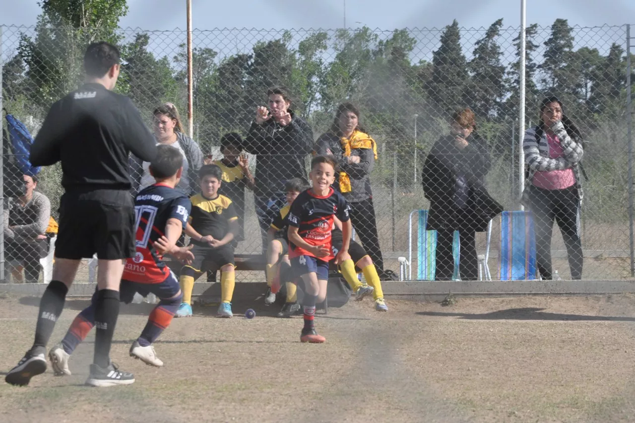 Centro Social Las Higueras Correos y Telecomunicaciones Deportivo Municipal Adela María (84)