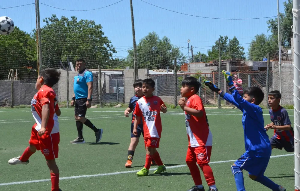 WhatsApp Image 2024-10-28 at 18.43.19 (1)